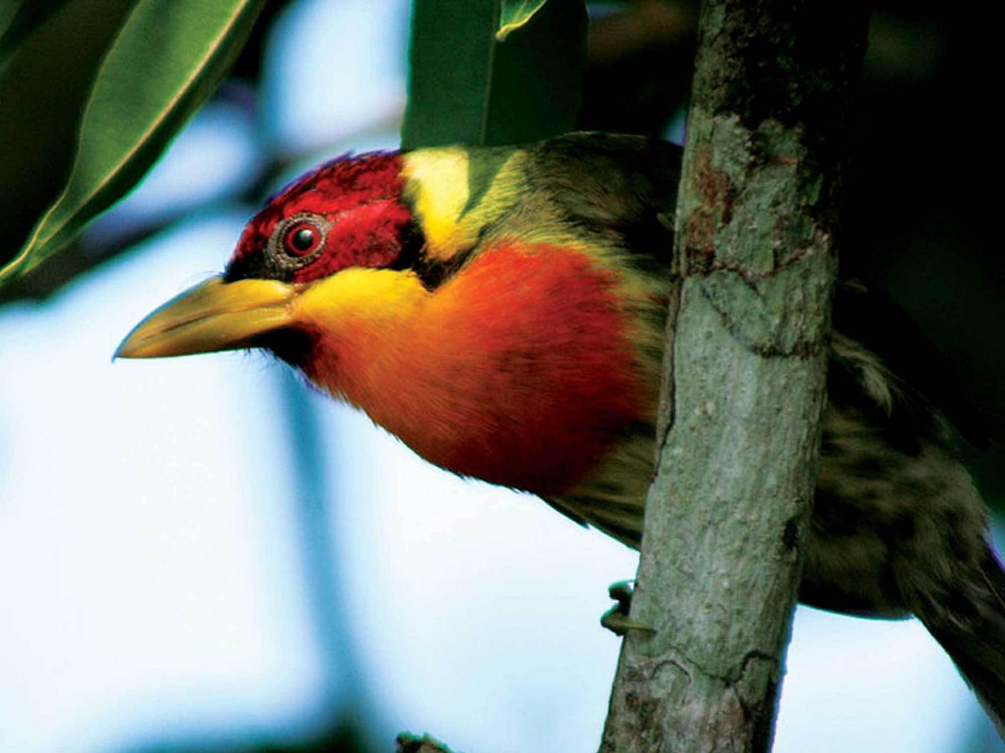 Inkaterra Reserva Amazonica Puerto Maldonado Zewnętrze zdjęcie