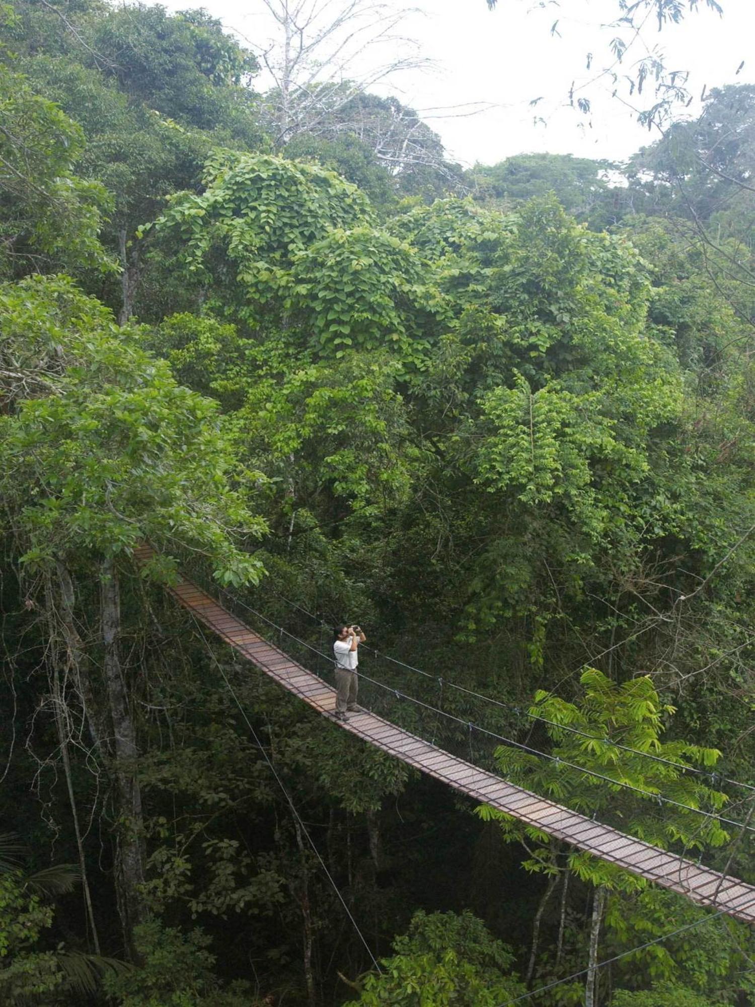 Inkaterra Reserva Amazonica Puerto Maldonado Zewnętrze zdjęcie